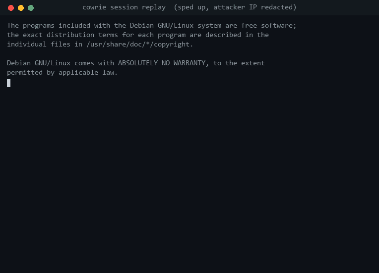 Replay of a bot&rsquo;s session on the Cowrie honeypot. It tries the commands sh, shell, enable and system, runs /bin/busybox HISILICON, changes to /tmp, downloads a file called x86_64 with wget and tries to run it, which fails with &ldquo;Exec format error&rdquo;. Two minutes later it repeats the same download and gets the same error. The payload server&rsquo;s address is replaced with a documentation IP.